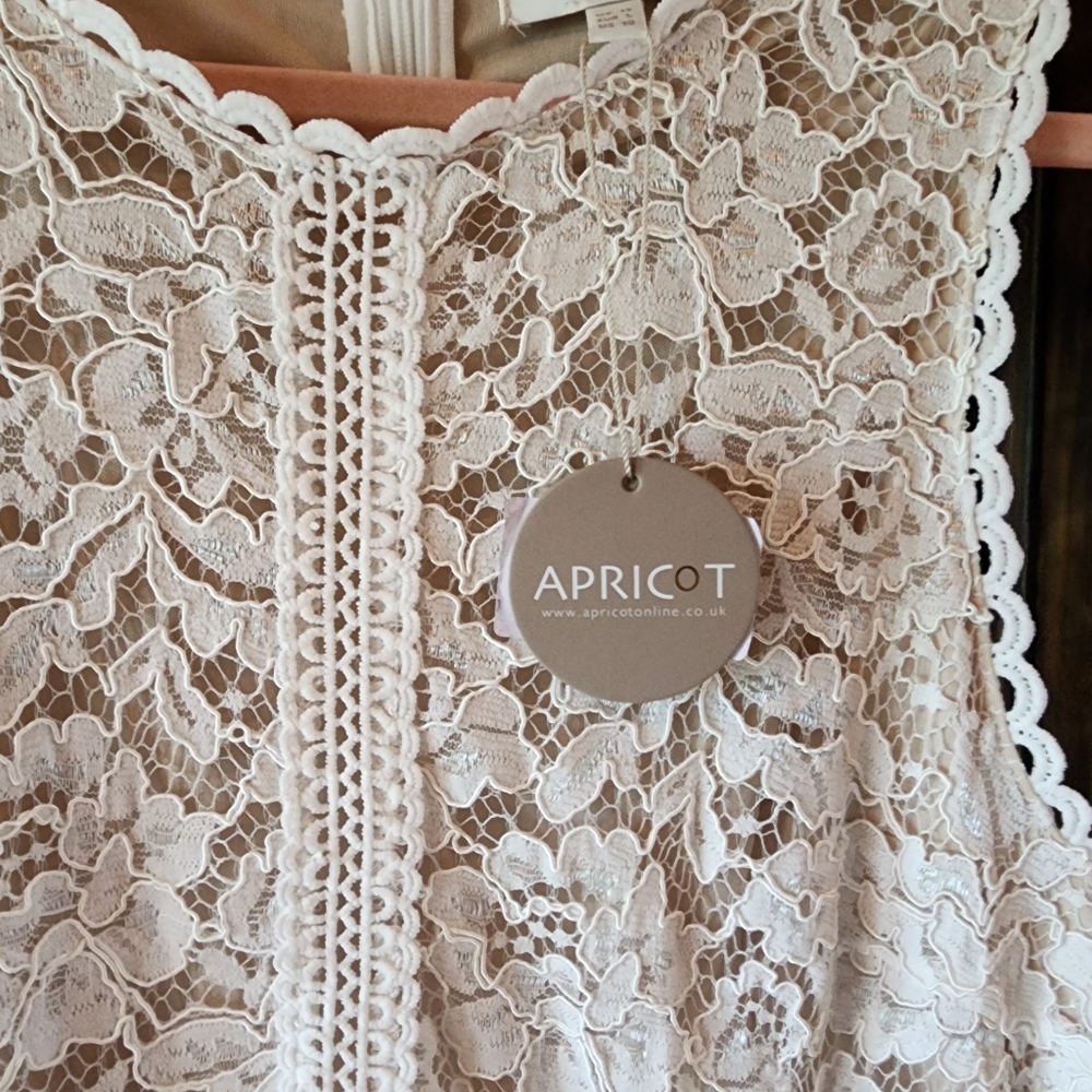 APRICOT Cream Lace Dress Size 10 Large Lined Fit & Flare Skater NEW - Picture 11 of 16